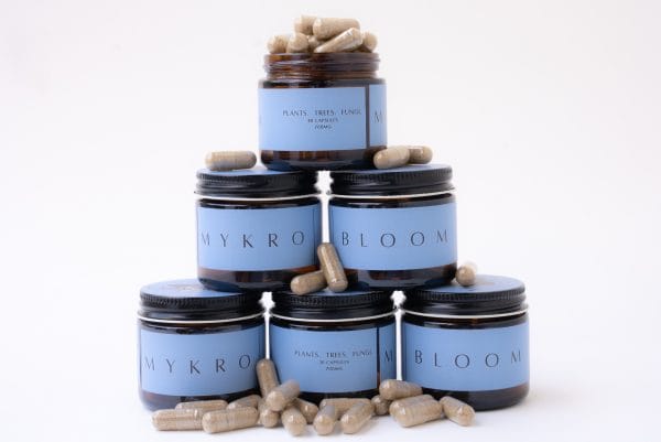MykroBloom - Image 2